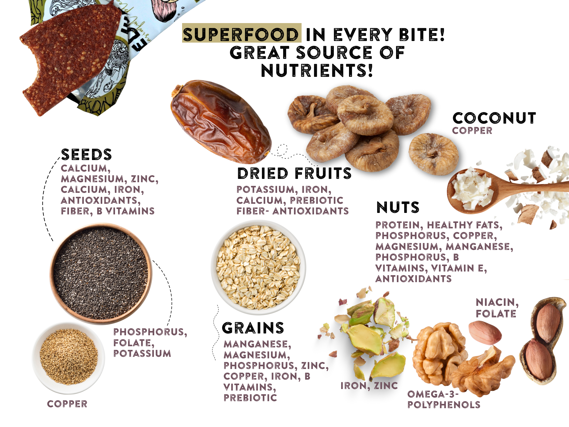 Fig Walnut - Pack of 12