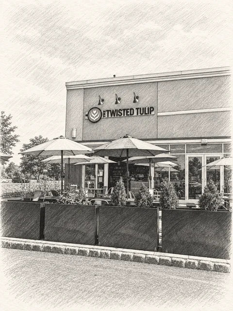 Graphite sketch of The Twisted Tulip’s partial storefront and patio, with overlapping umbrellas and planted rectangular barriers in front of the windows.